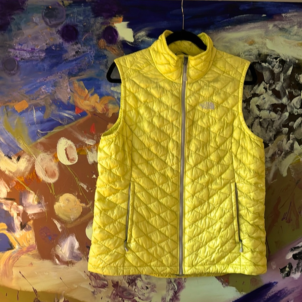 Northface vest